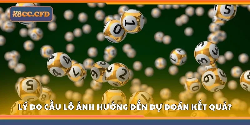 Lý do cầu lô có ảnh hưởng lớn đến việc dự đoán kết quả?